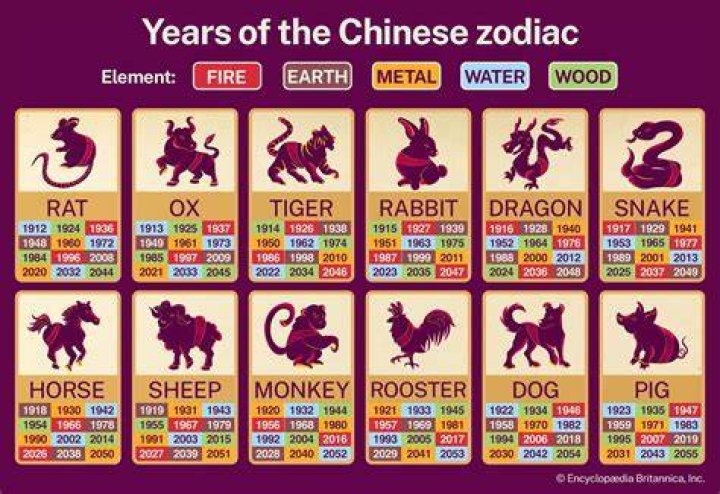 Unveiling the Mysteries of the 1991 Animal Year: A Comprehensive Guide