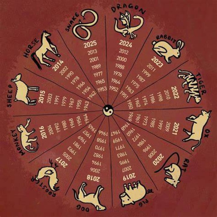 Unveiling the Mysteries of the 1991 Chinese Zodiac Sign: Insights and Predictions
